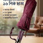 মেরুন কালার